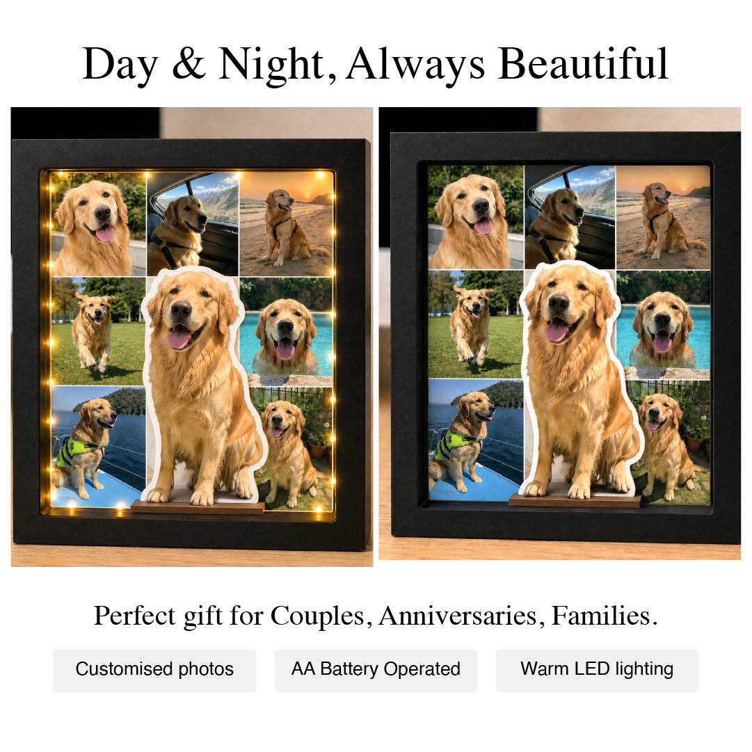 Paws, Love & Glowing Memories