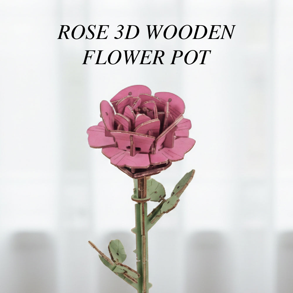 Pink Rose