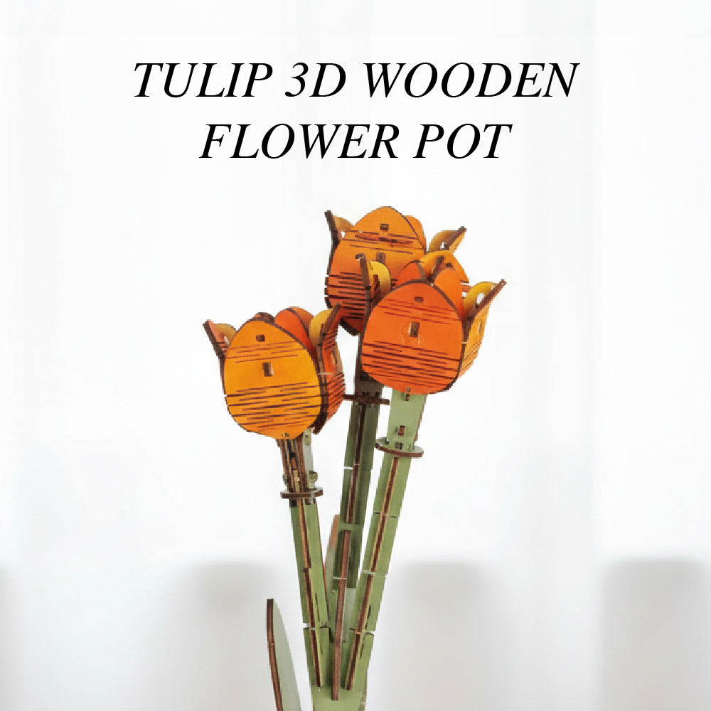 Tulip