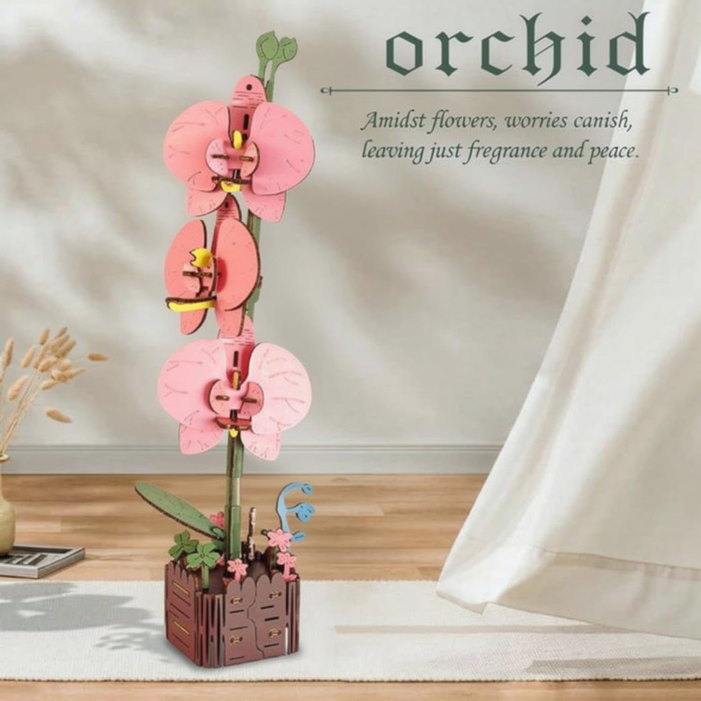 Orchid