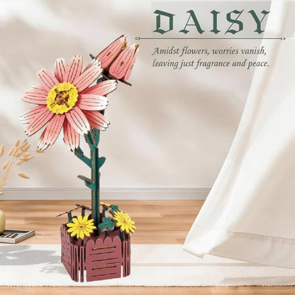 Daisy