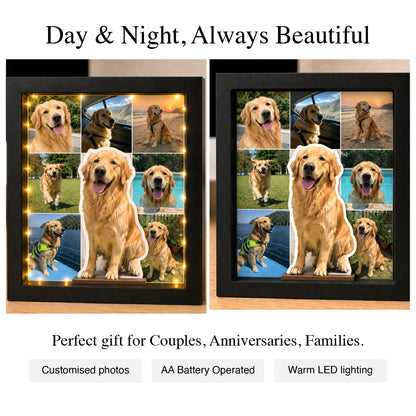 Paws, Love & Glowing Memories