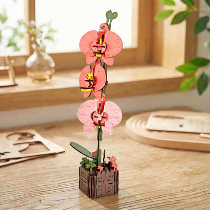 Orchid