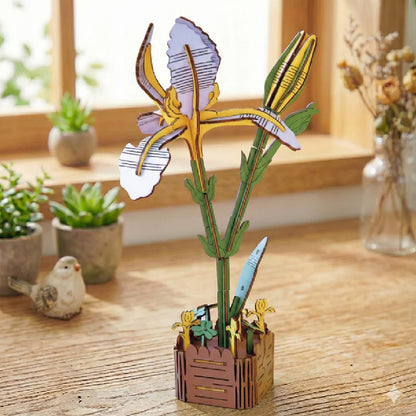 Iris