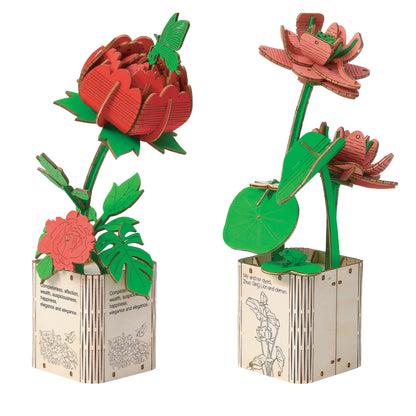 Peony & Lotus 3D Wooden DIY Flower Pot Kit – Set of 2