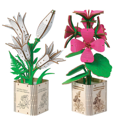 Geranium & Lily (Pack of 2)