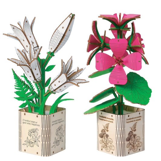 Geranium & Lily 3D Wooden Flower Pot DIY Kit – Set of 2