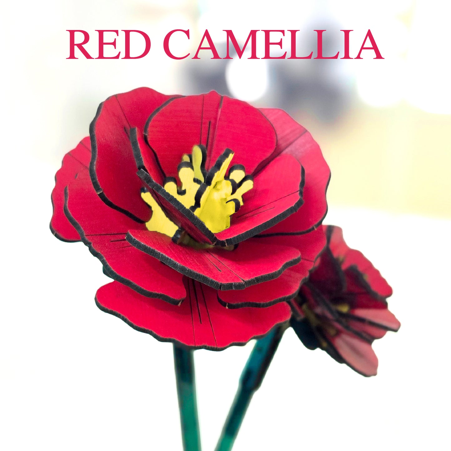Red Camellia