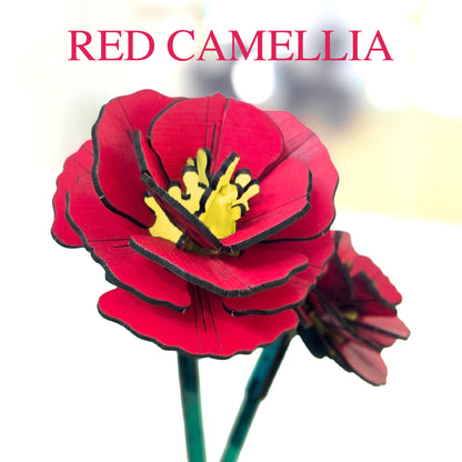 Red Camellia