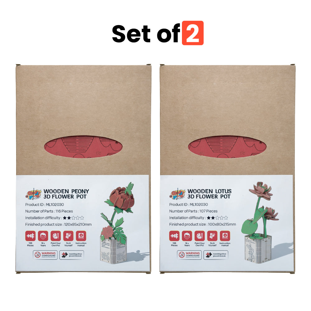 Peony & Lotus 3D Wooden DIY Flower Pot Kit – Set of 2