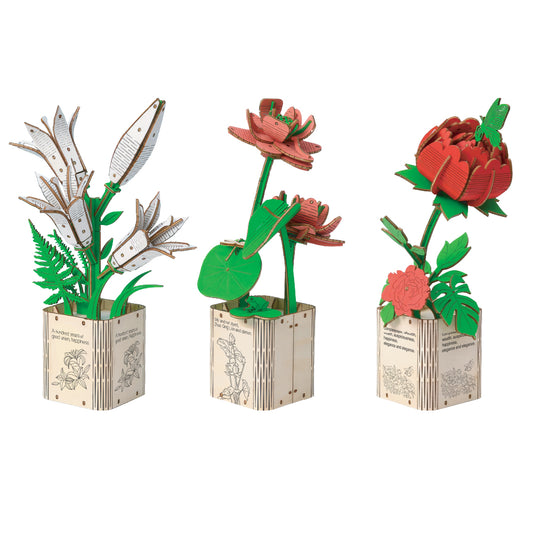 Lily, Lotus & Peony 3D Wooden Flower Pot DIY Kit – Pack of 3