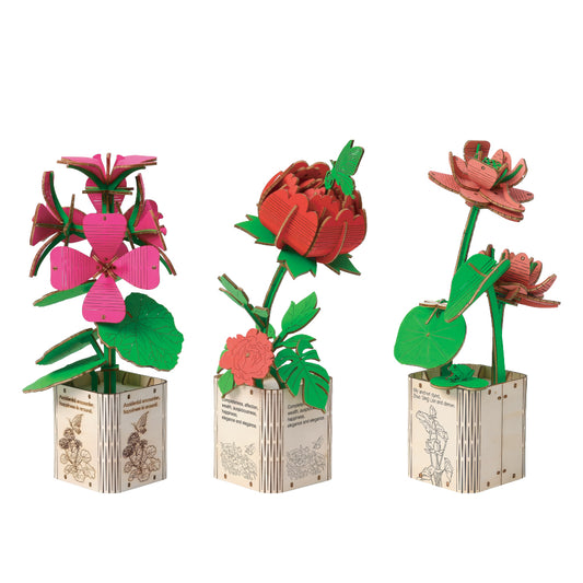 Geranium, Lotus & Peony 3D Wooden Flower Pot DIY Kit– Pack of 3