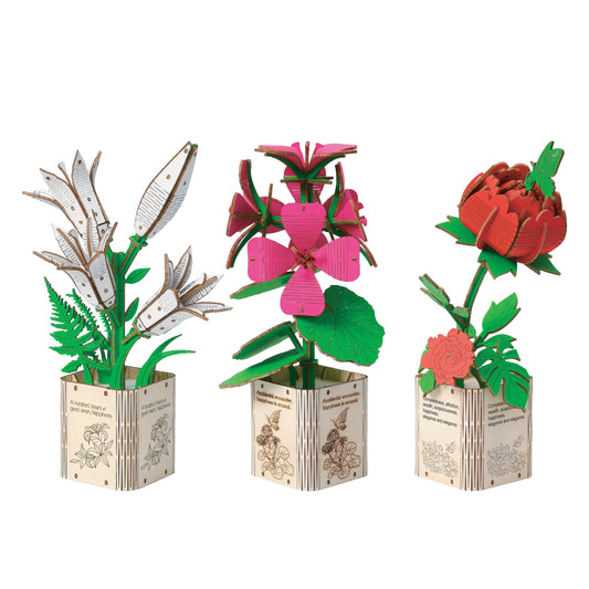 Lily,Geranium & Peony 3D Wooden Flower Pot DIY Kit – Pack of 3