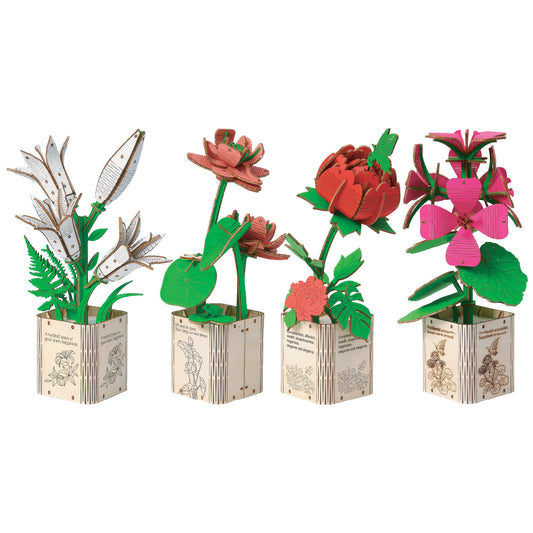 Geranium, Lily, Lotus & Peony 3D Wooden Flower Pot DIY Kit – Pack of 4