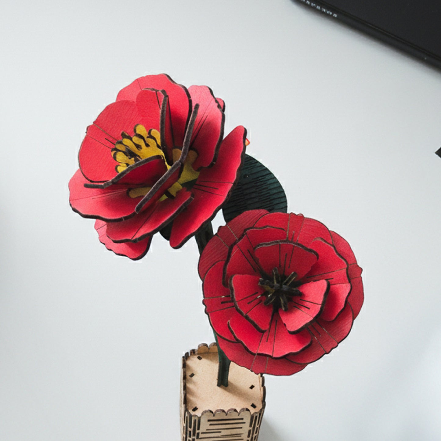 Red Camellia