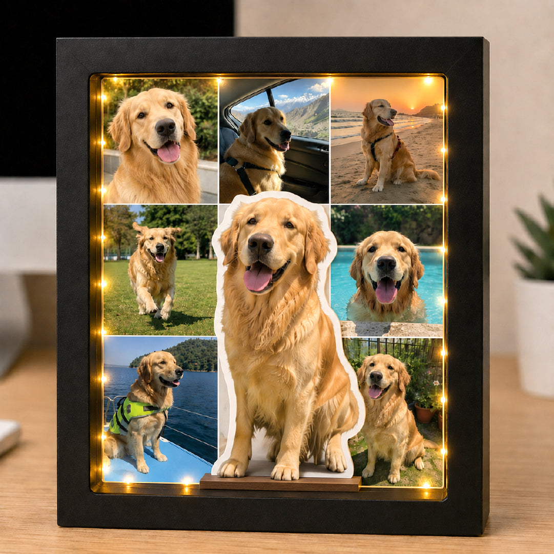 Paws, Love & Glowing Memories