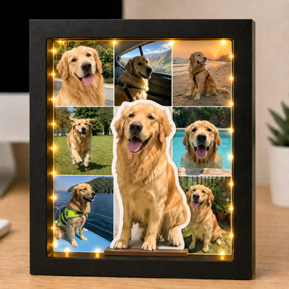 Paws, Love & Glowing Memories