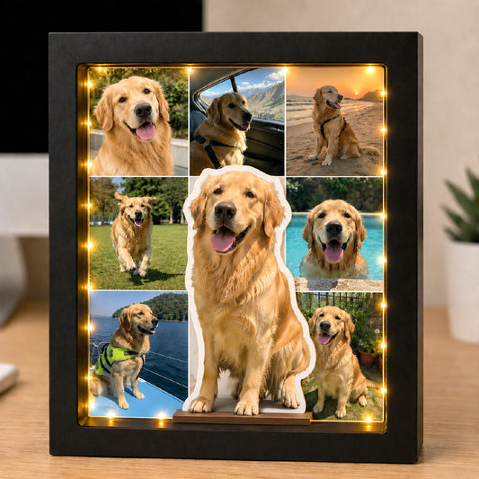 Paws, Love & Glowing Memories