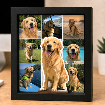 Paws, Love & Glowing Memories