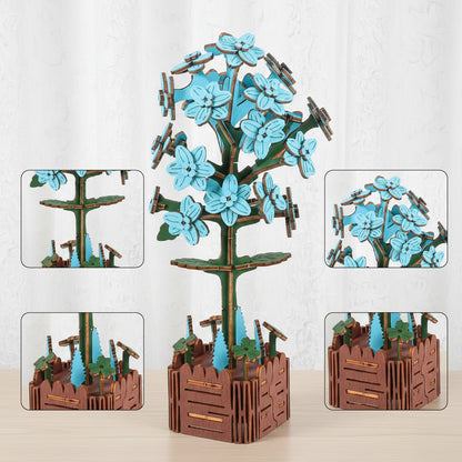 Hydrangea