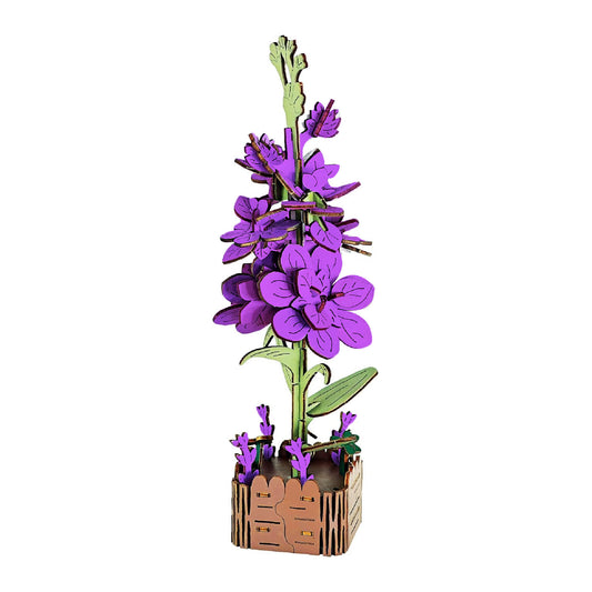 Hyacinth