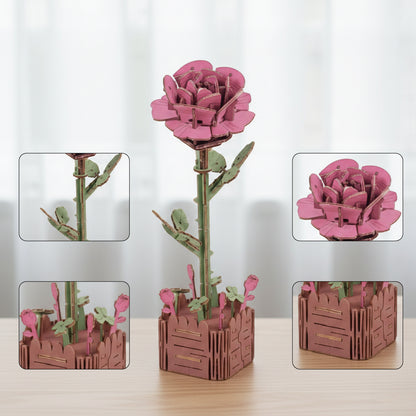 Pink Rose