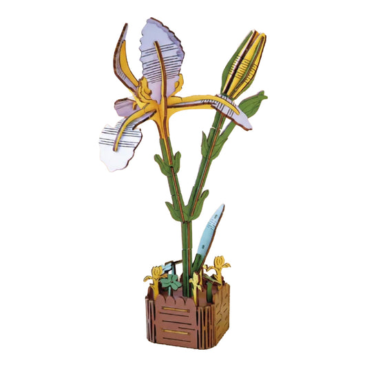 Iris 3D Wooden Flower Pot DIY Craft Kit