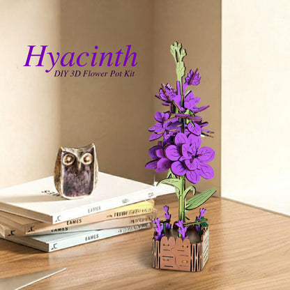 Hyacinth