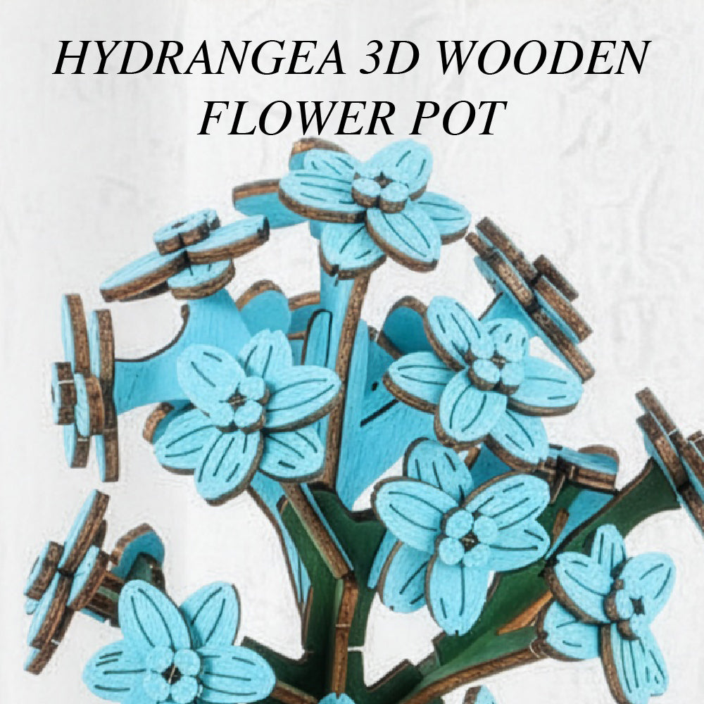 Hydrangea