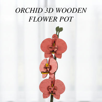 Orchid