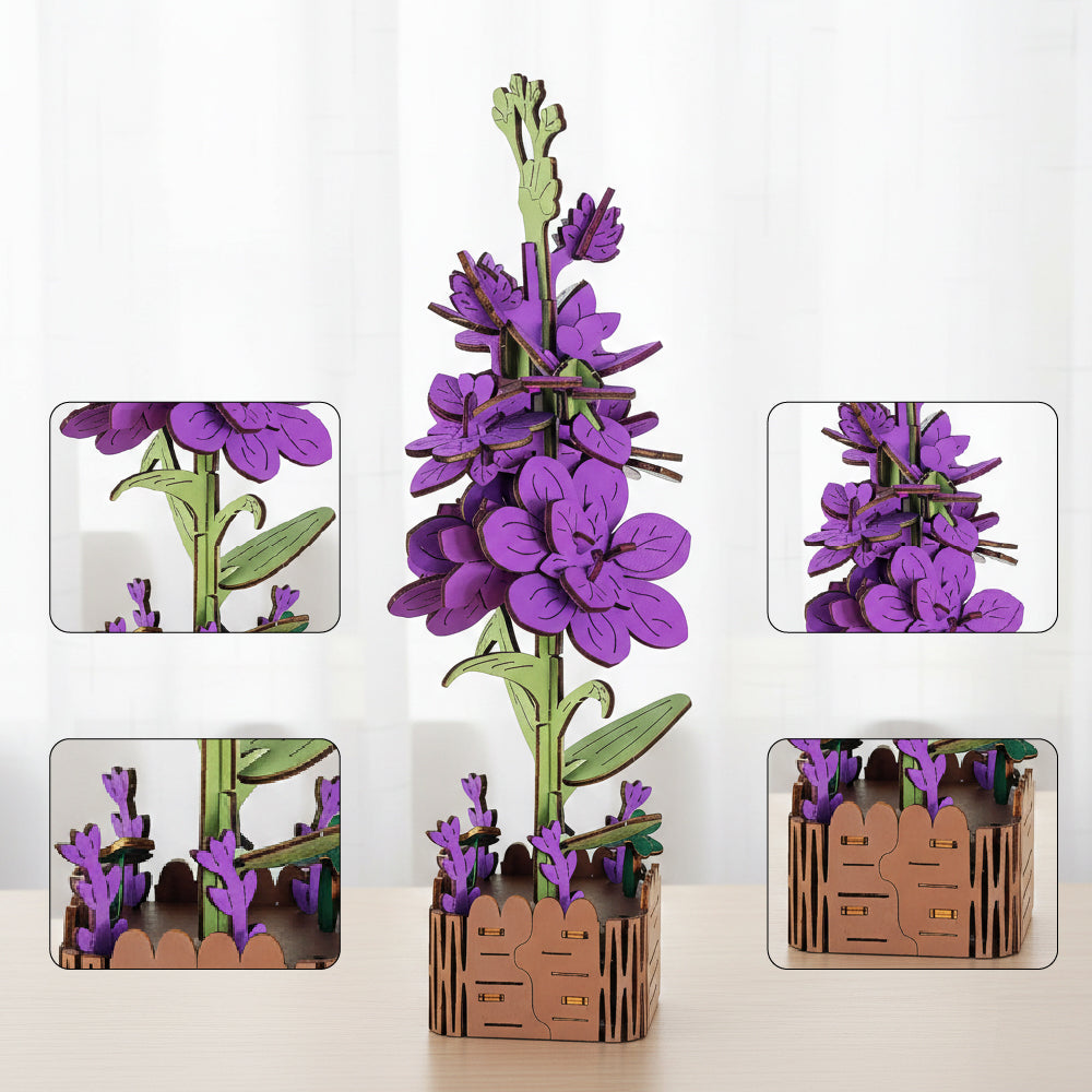 Hyacinth