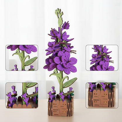 Hyacinth
