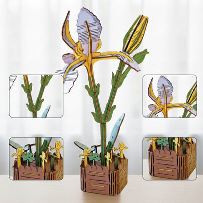 Iris