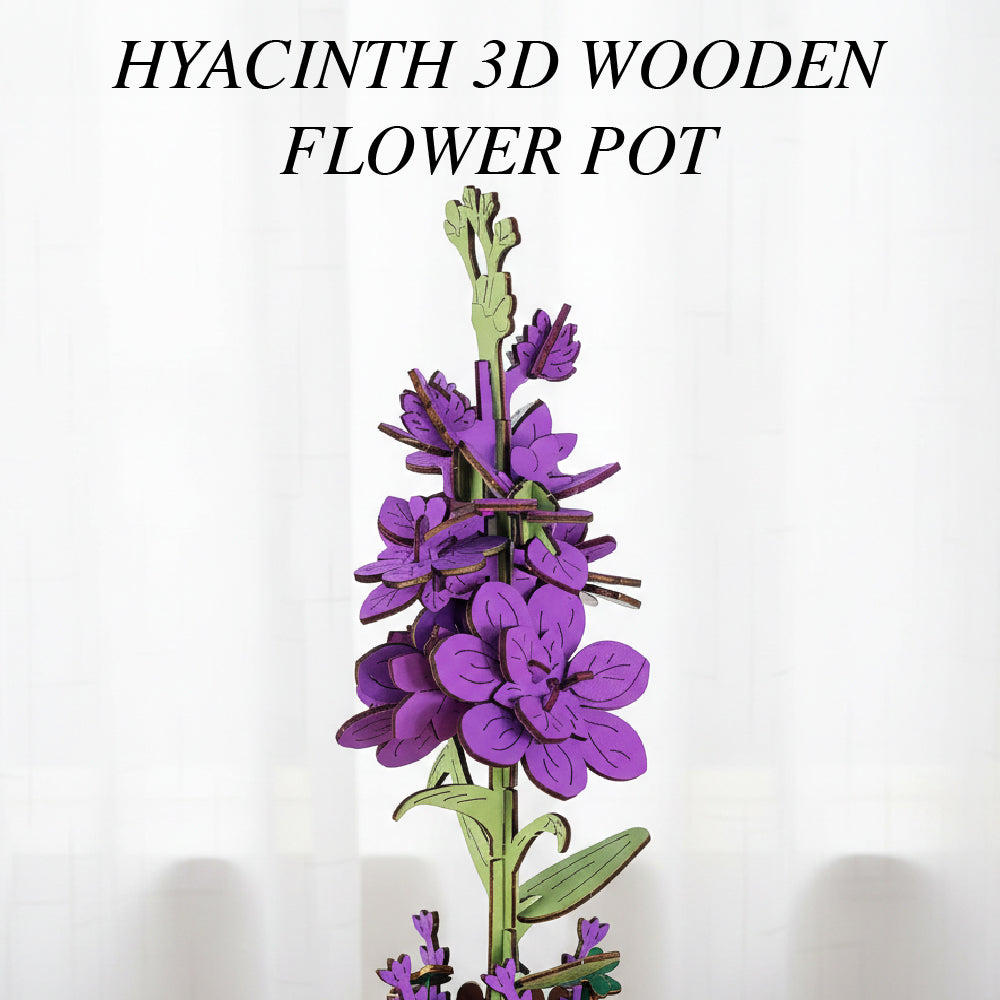 Hyacinth