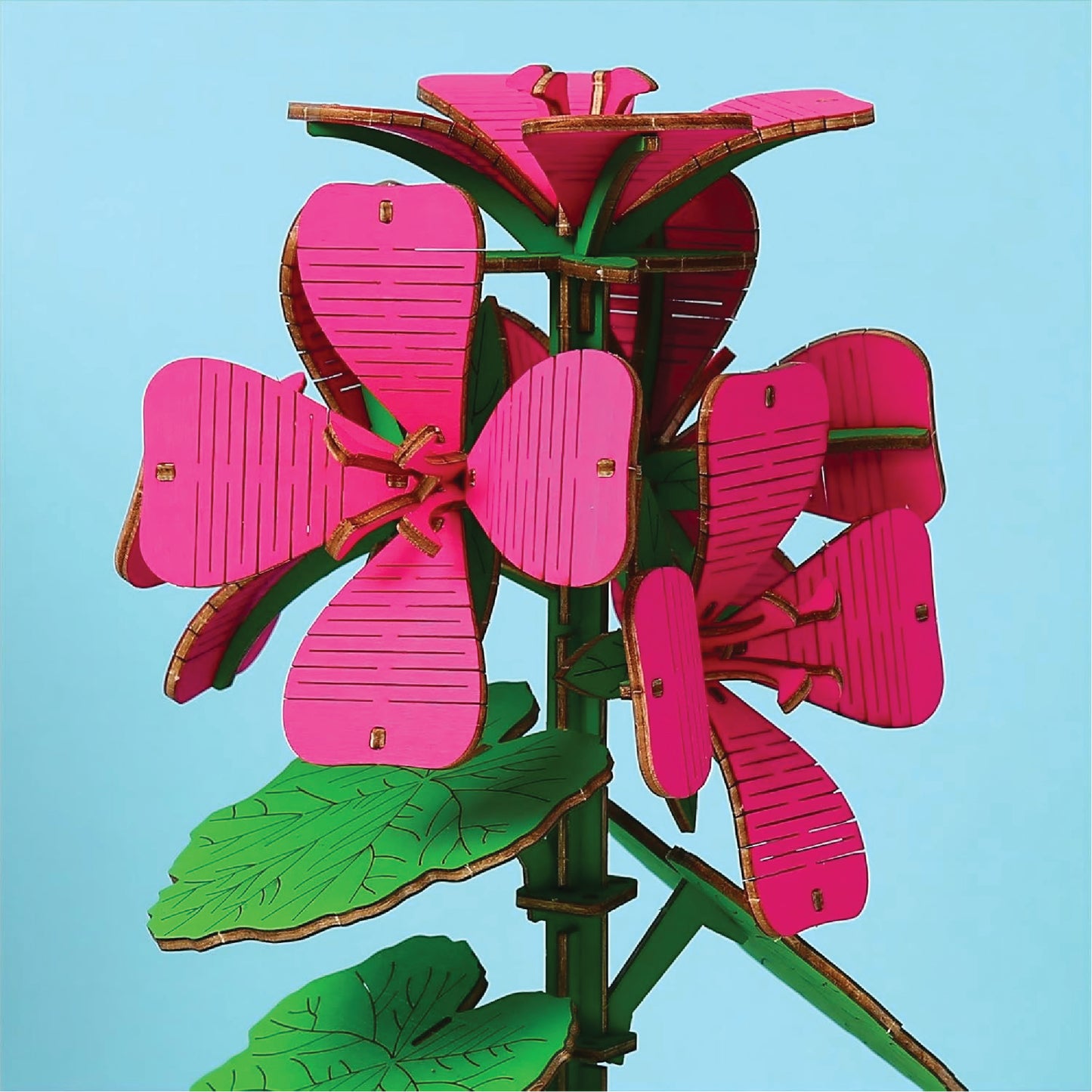 Geranium & Lily (Pack of 2)