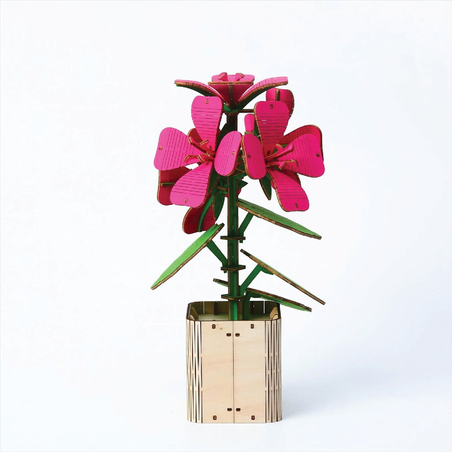DIY Wooden Flower 3D Wooden Puzzle : Geranium