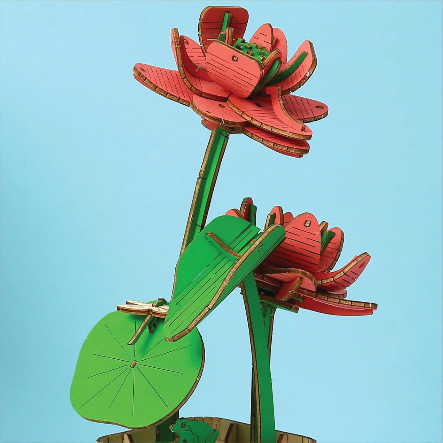 Peony & Lotus 3D Wooden DIY Flower Pot Kit – Set of 2