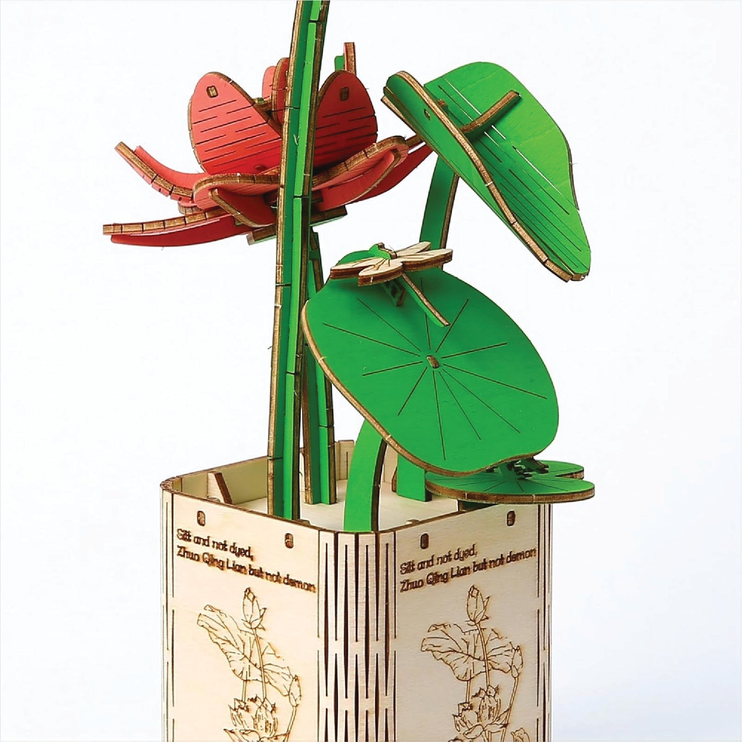 Lotus